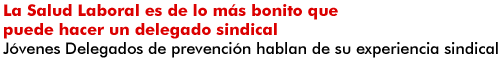 La Salud Laboral es de lo m&aacute;s bonito que puede hacer un delegado sindical